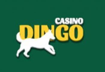 Casino Dingo